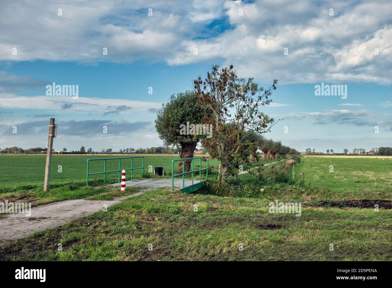 Bicycle track with pollard willows in Dutch countryside Stock Photo