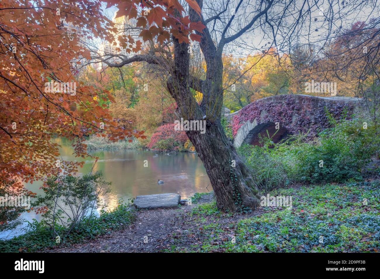 Gapstow Bridge in Central Park  in late autumn early in the morning Stock Photo