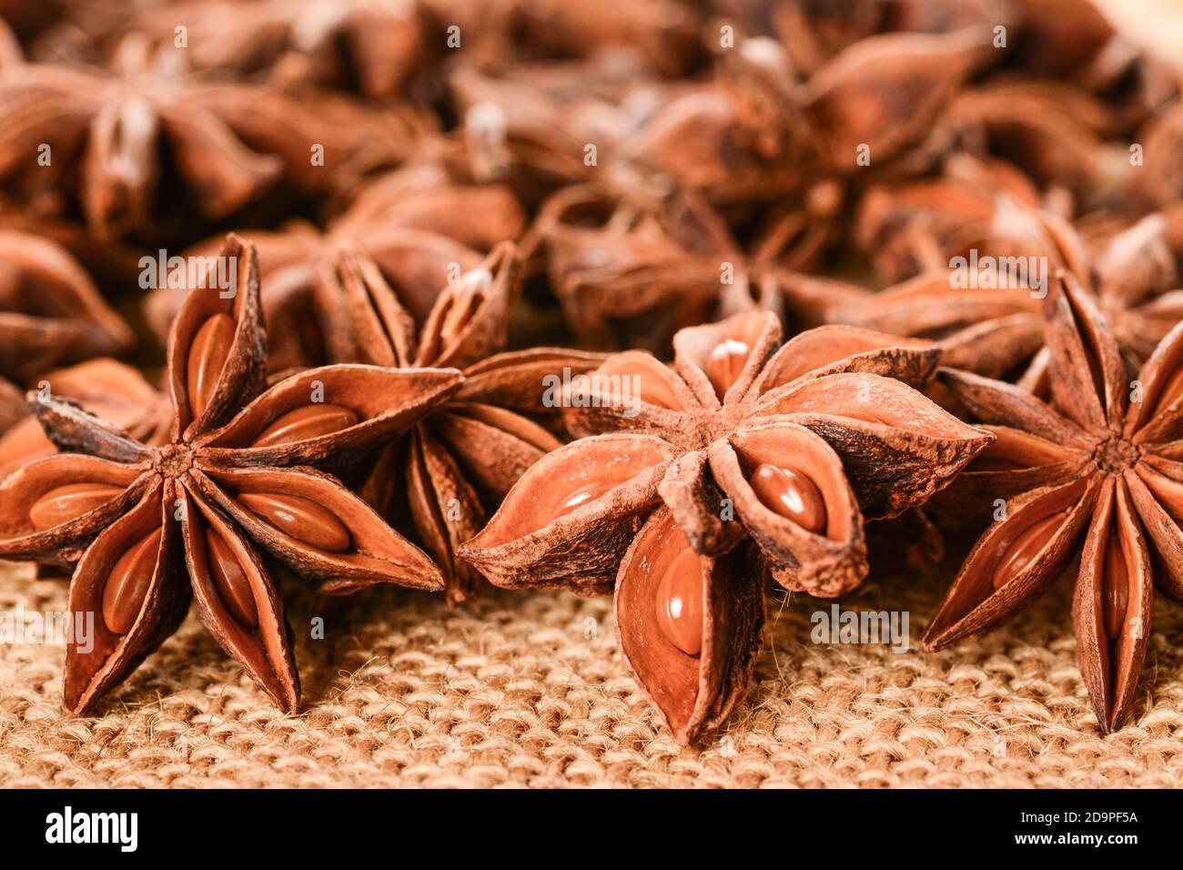 Star Anise Plant High Resolution Stock Photography and Images Alamy