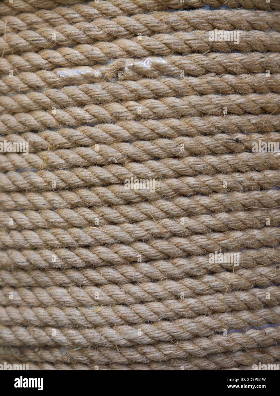 Yellow rope wound in a skein. Light yellow rope wound in a skein Stock