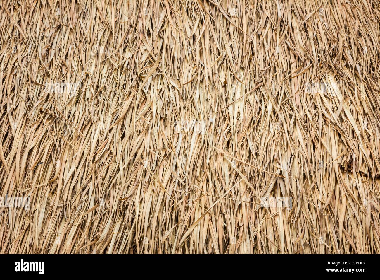 Roof made of leaves hi-res stock photography and images - Alamy