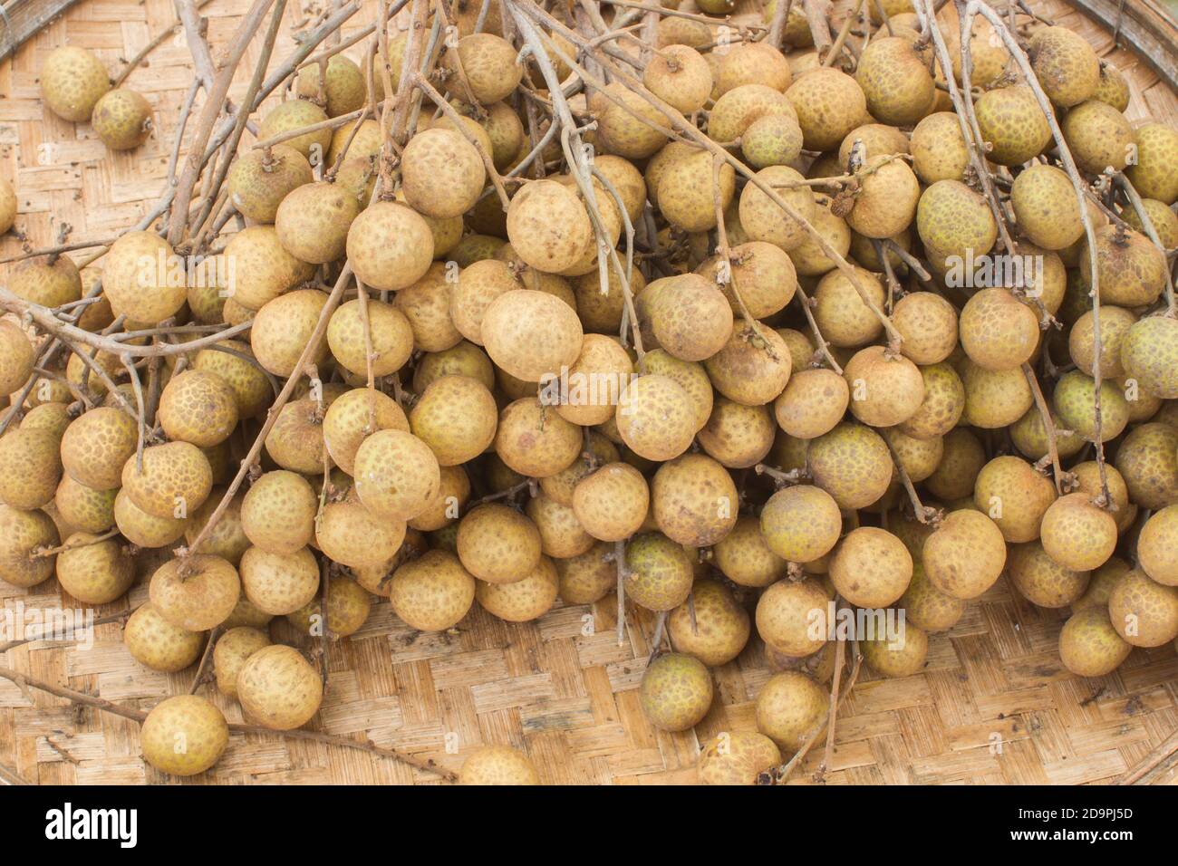 closeup longan fruit orchards in threshing basket, soft focus Stock