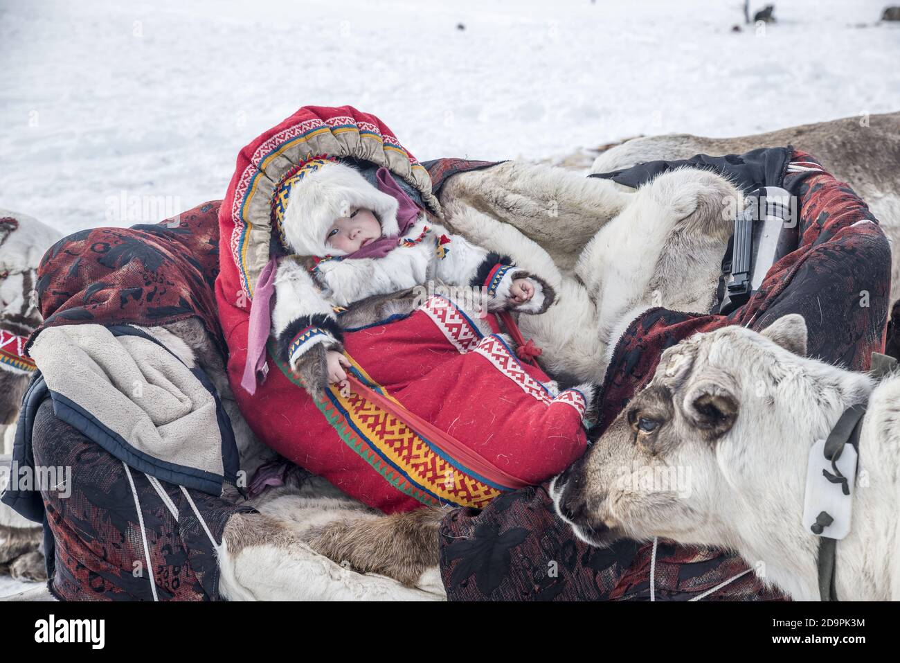 A small baby on a reindeer sleigh during the preparation for the migration, Yamalo-Nenets Autonomous Okrug, Russia Stock Photo
