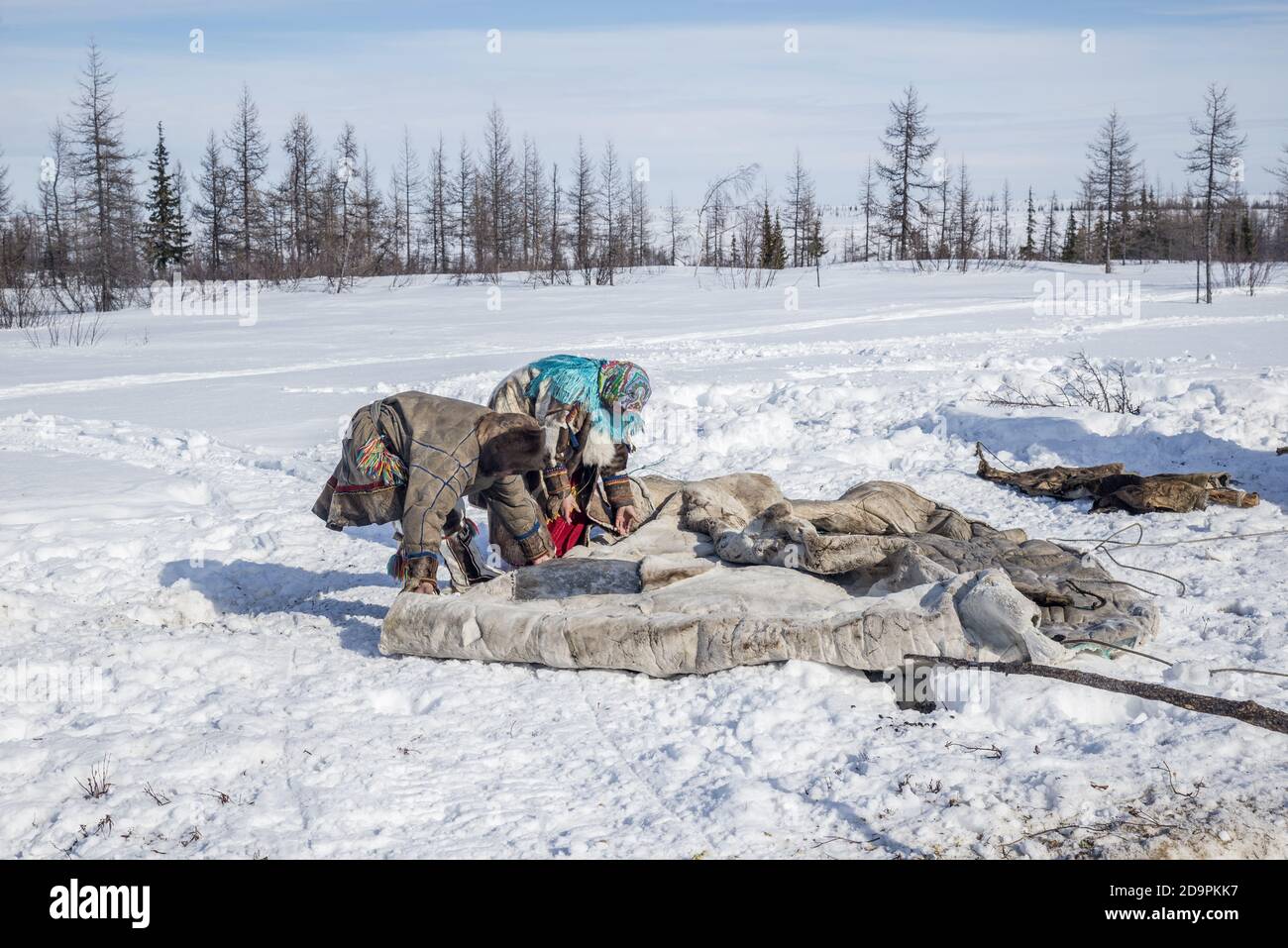 A Nenets family dismantling a traditional tent for migration, Yamalo-Nenets Autonomous Okrug, Russia Stock Photo