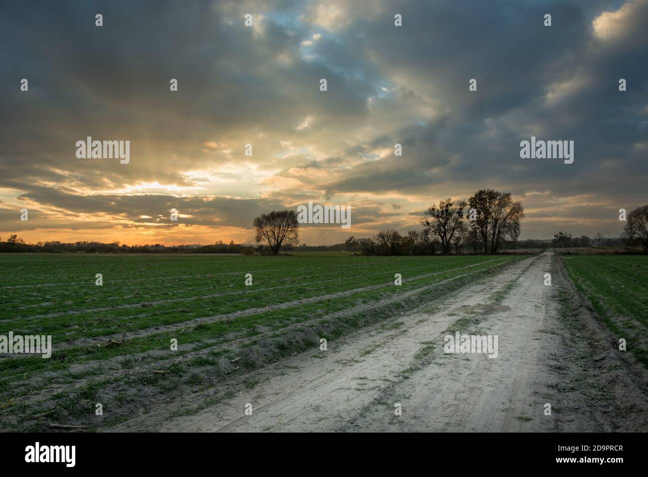 Rural road through green fields and sunset Stock Photo - Alamy