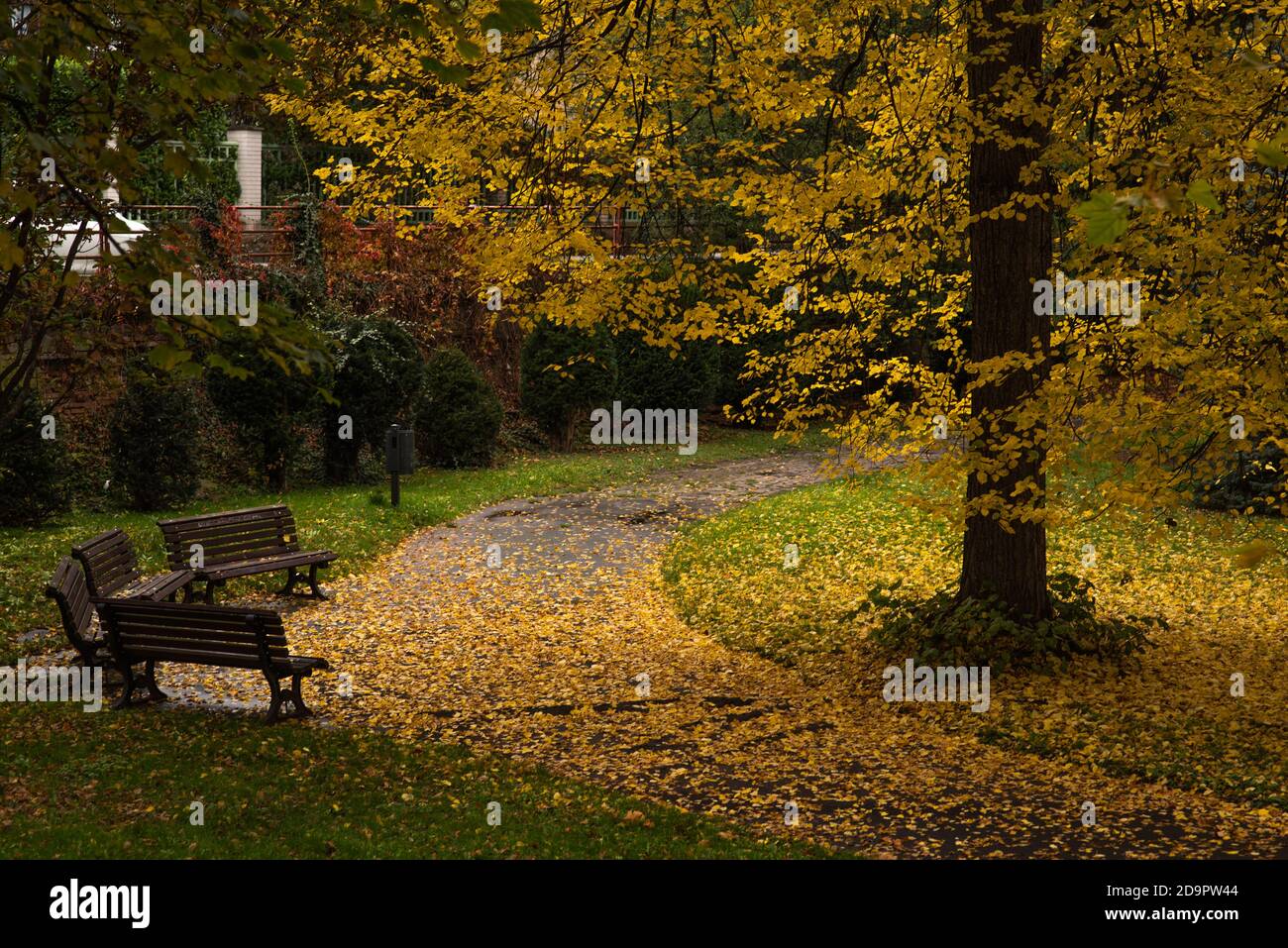 A colorful path in the park with benches to sit Stock Photo - Alamy