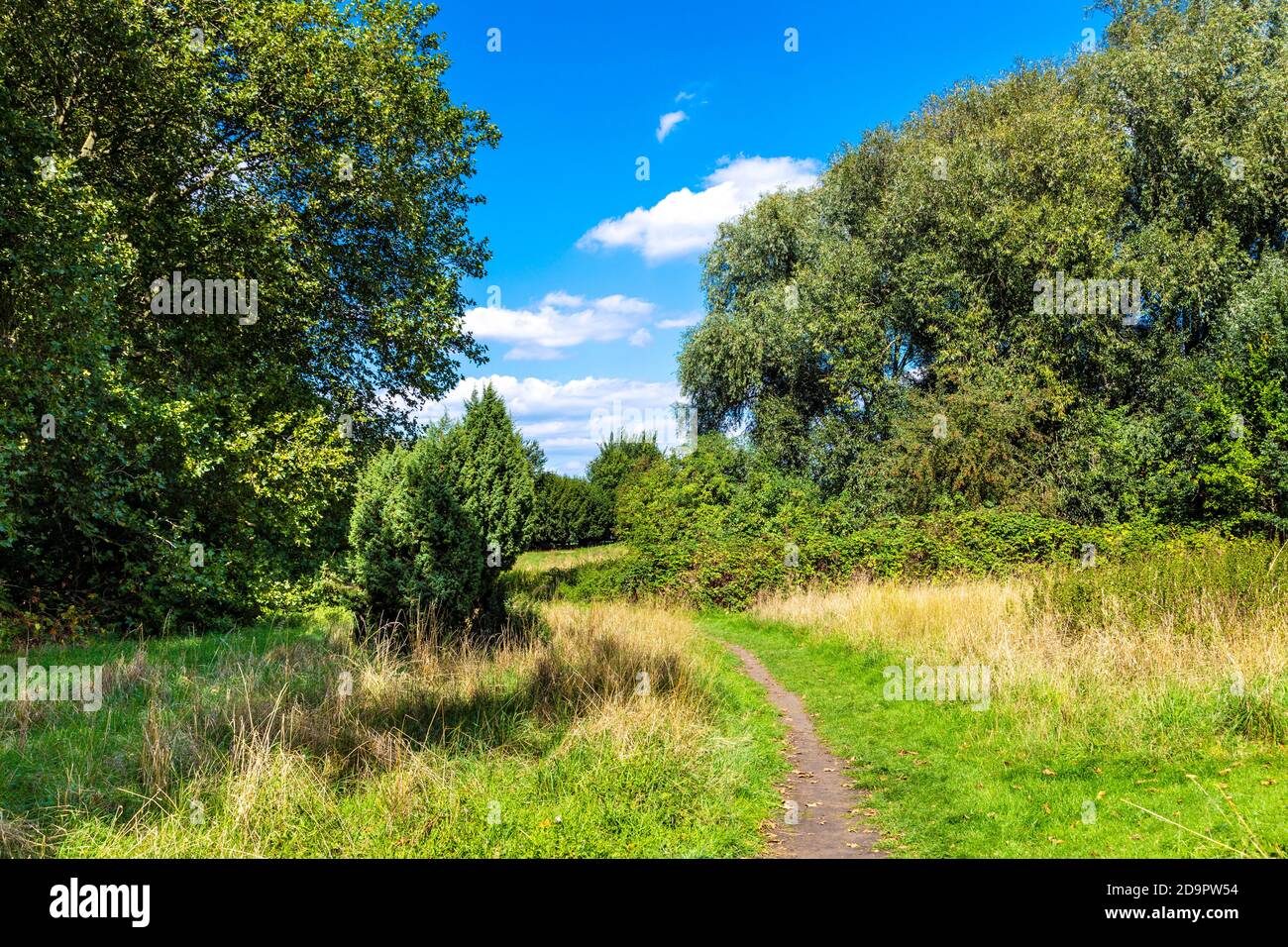 Path through the Hackney Marshes, London, UK Stock Photo