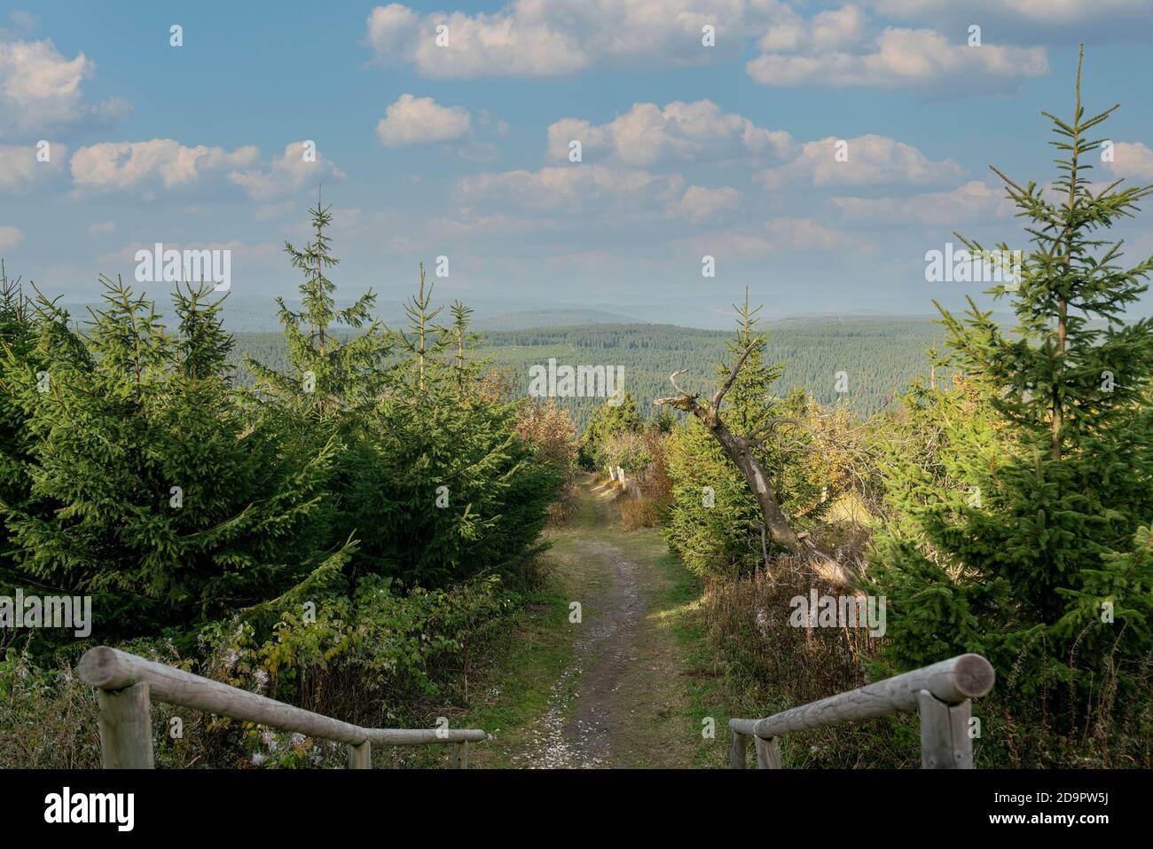 Hiking path leading from Fichtelberg mountain top down to the valley through the woods of the ore mountains Stock Photo