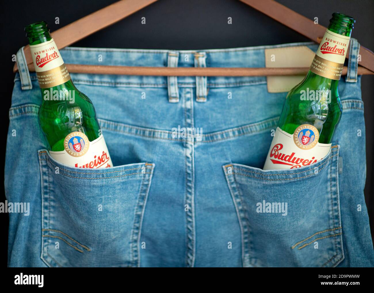 Two green empty Budweiser beer bottles in a pants pocket. Stock Photo