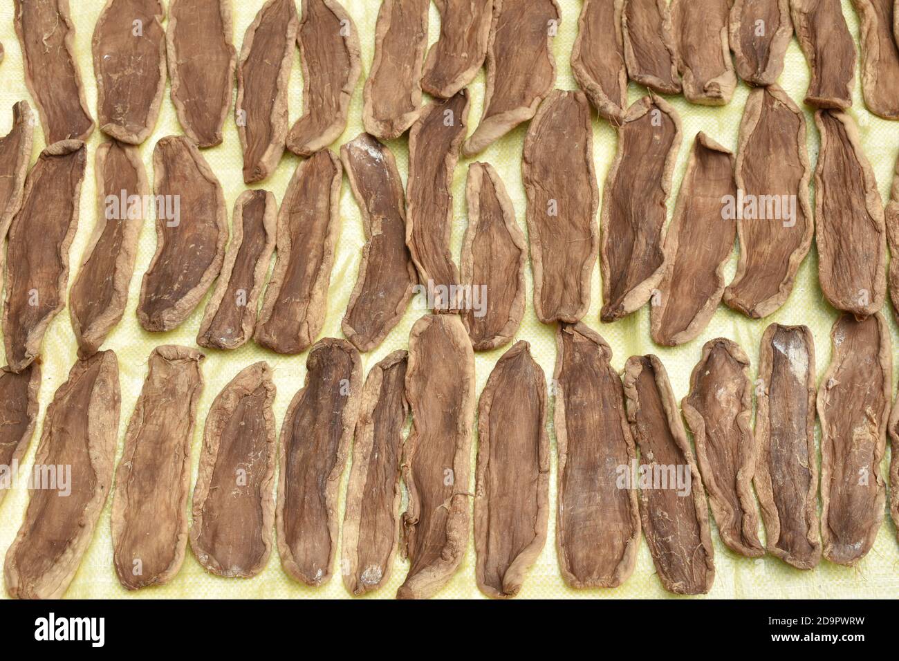 dry salty slice cabbage Chinese food preservation on sack Stock Photo -  Alamy