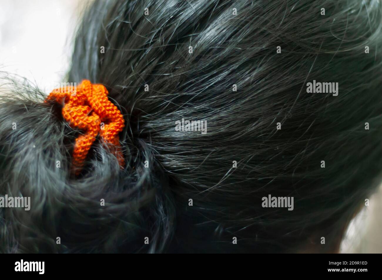 The dark black hair of a young woman of Asian Indian ethnicity. The image shows a close up of a hair band holding the pony tail she is wearing. Stock Photo