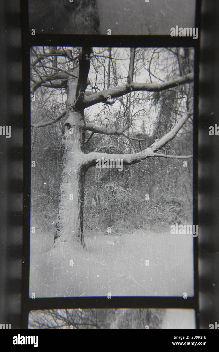 1970s fine black white photo hi-res stock photography and images - Alamy