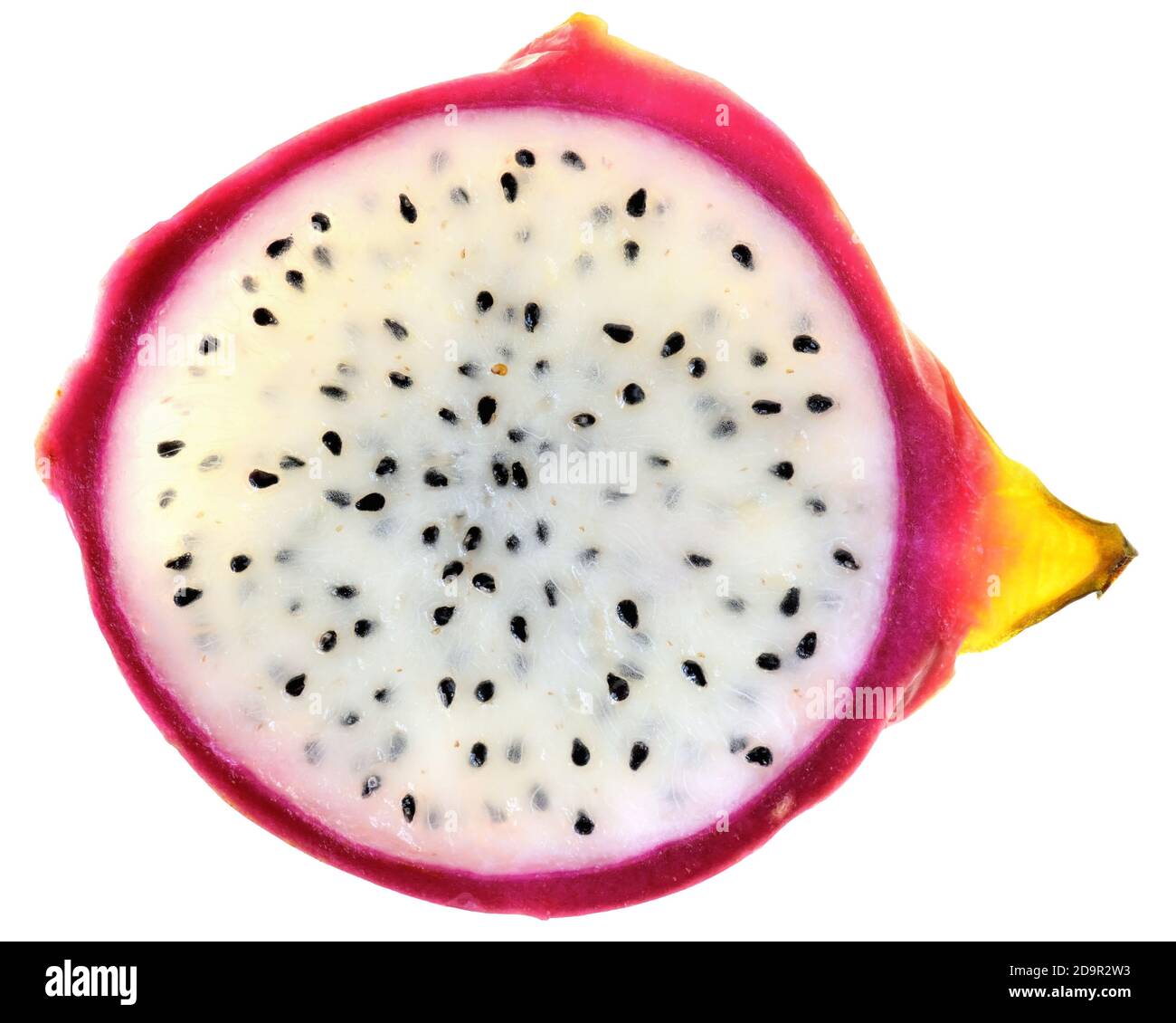 Sliced ​​dragon fruit close-up top view isolated on a white background. Stock Photo