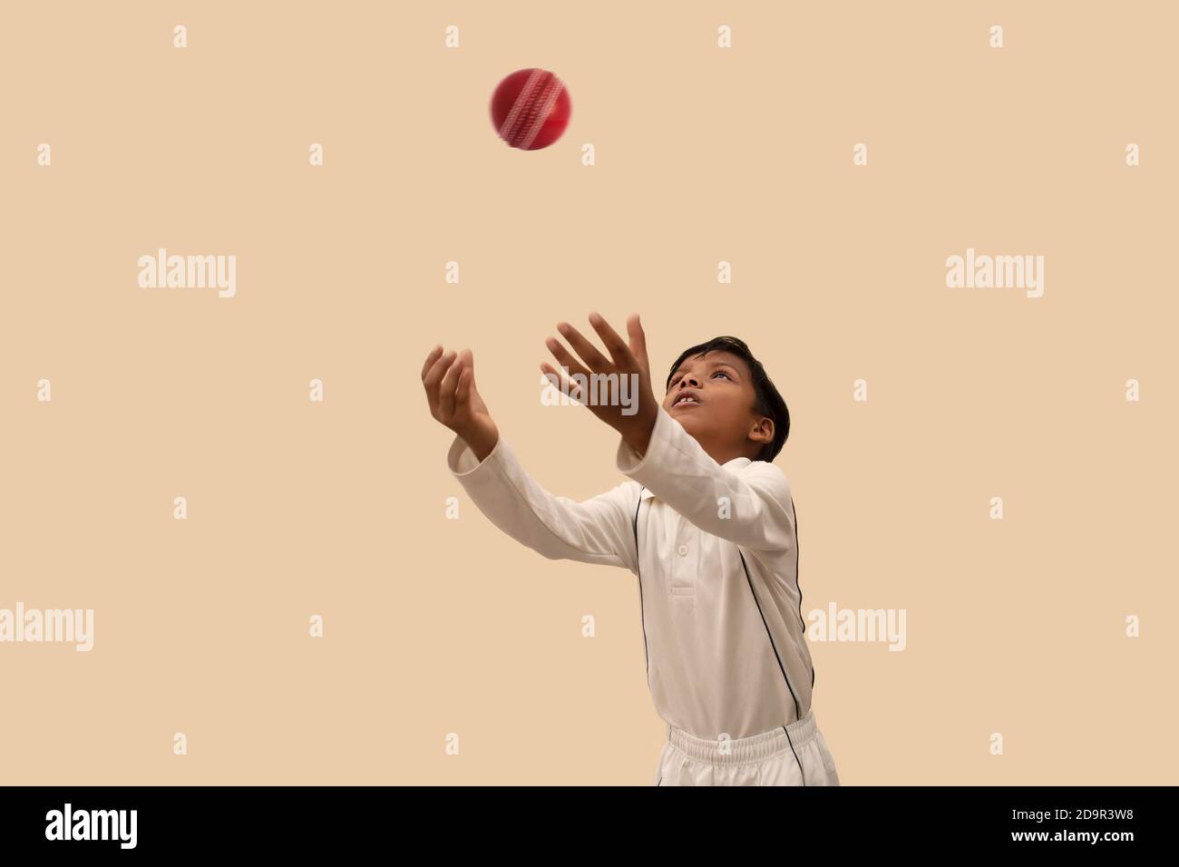 Boy catching cricket ball Stock Photo Alamy