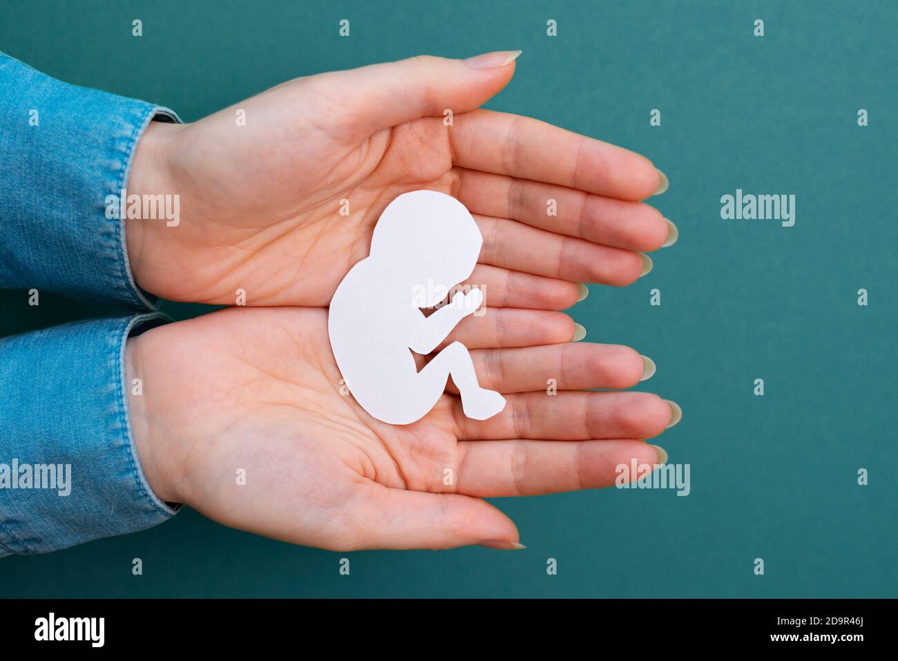 Female hands hold a paper-cut silhouette of a fetus. Green background ...