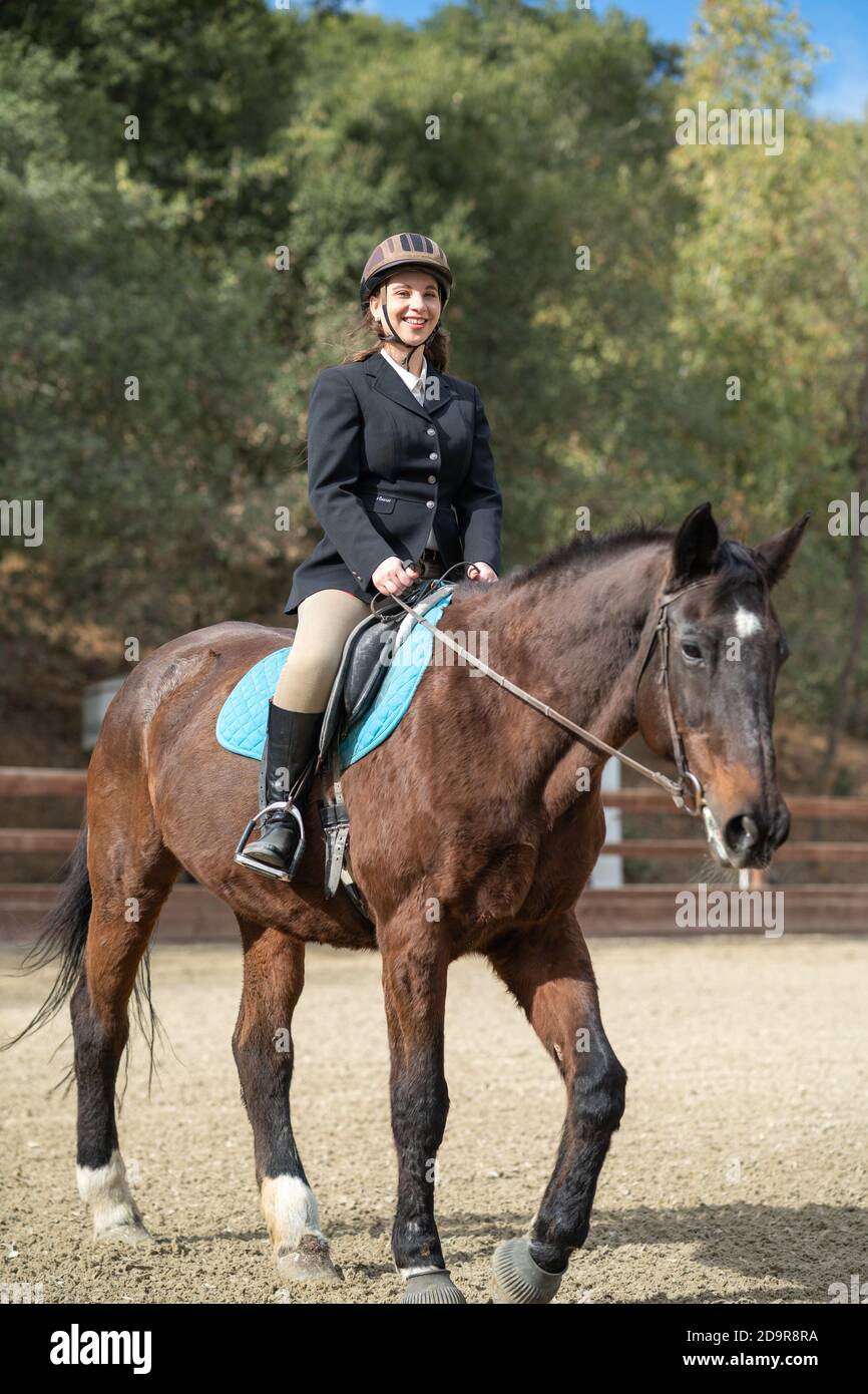 woman riding horse, english saddle, in arena surrounded by oak trees ...