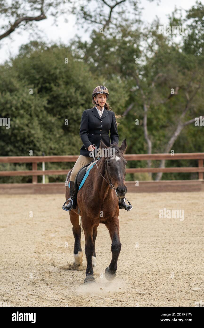 woman riding horse, english saddle, in arena surrounded by oak trees ...