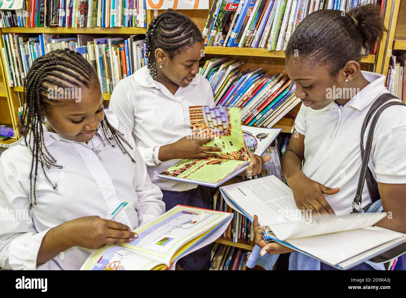 Miami Florida,Liberty City Charles Drew Elementary School,inside library student students Black,girl girls read reading book books, Stock Photo