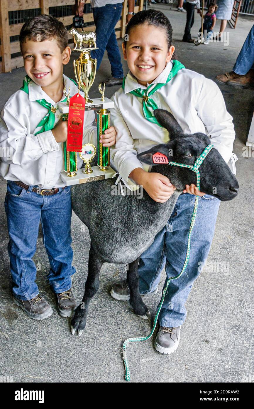 Miami Florida,Dade County Fair & Exposition,annual event youth programs animal husbandry 4-H competition,Hispanic boy girl students,holds holding trop Stock Photo