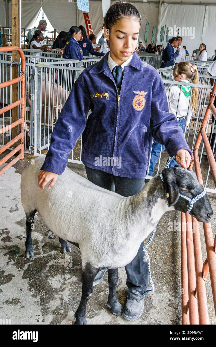 Miami Florida,Dade County Fair & Exposition,annual youth programs animal husbandry agricultural 4-H competition,Hispanic teen teens teenager teenagers Stock Photo