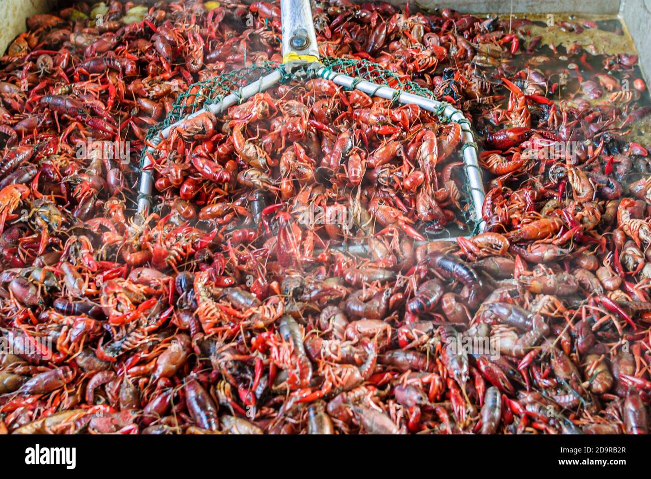 Louisiana Lake Pontchartrain Northshore,Mandeville Seafood Express,boiled crawfish boiling display sale, Stock Photo