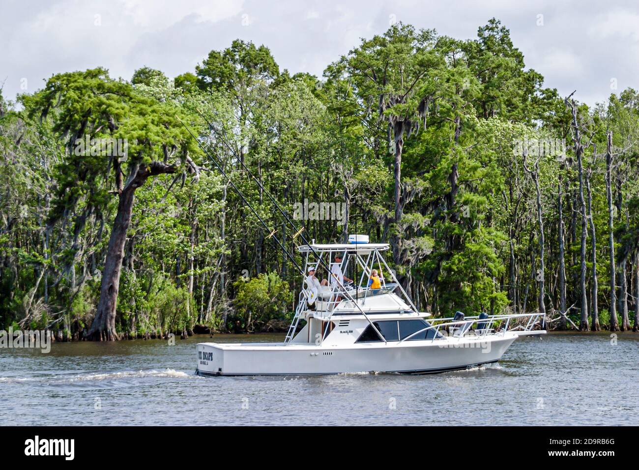 Along tchefuncte river hires stock photography and images Alamy