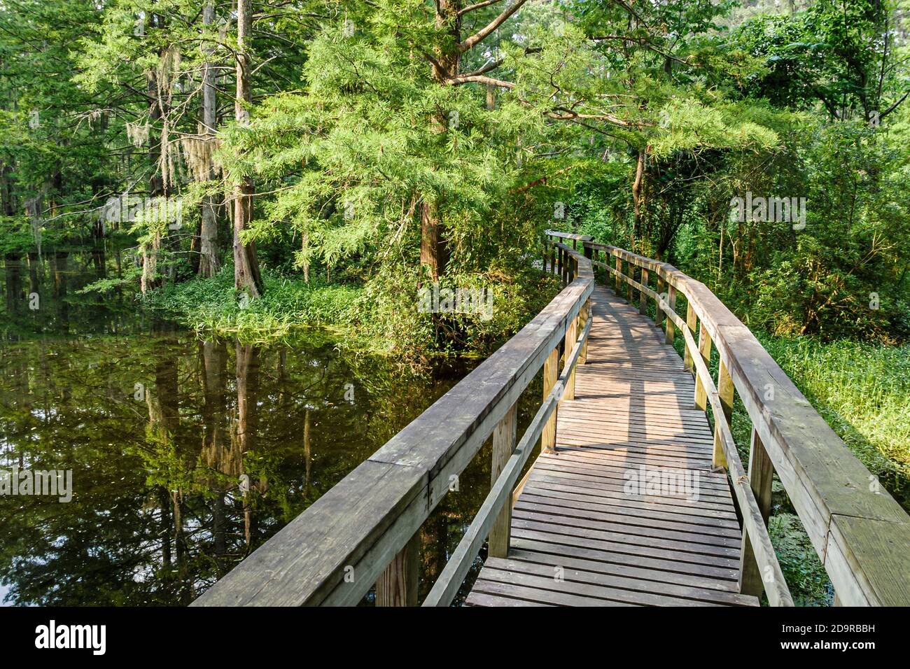 Louisiana Northshore,Mandeville,Northlake Nature Center centre walk raised boardwalk, Stock Photo