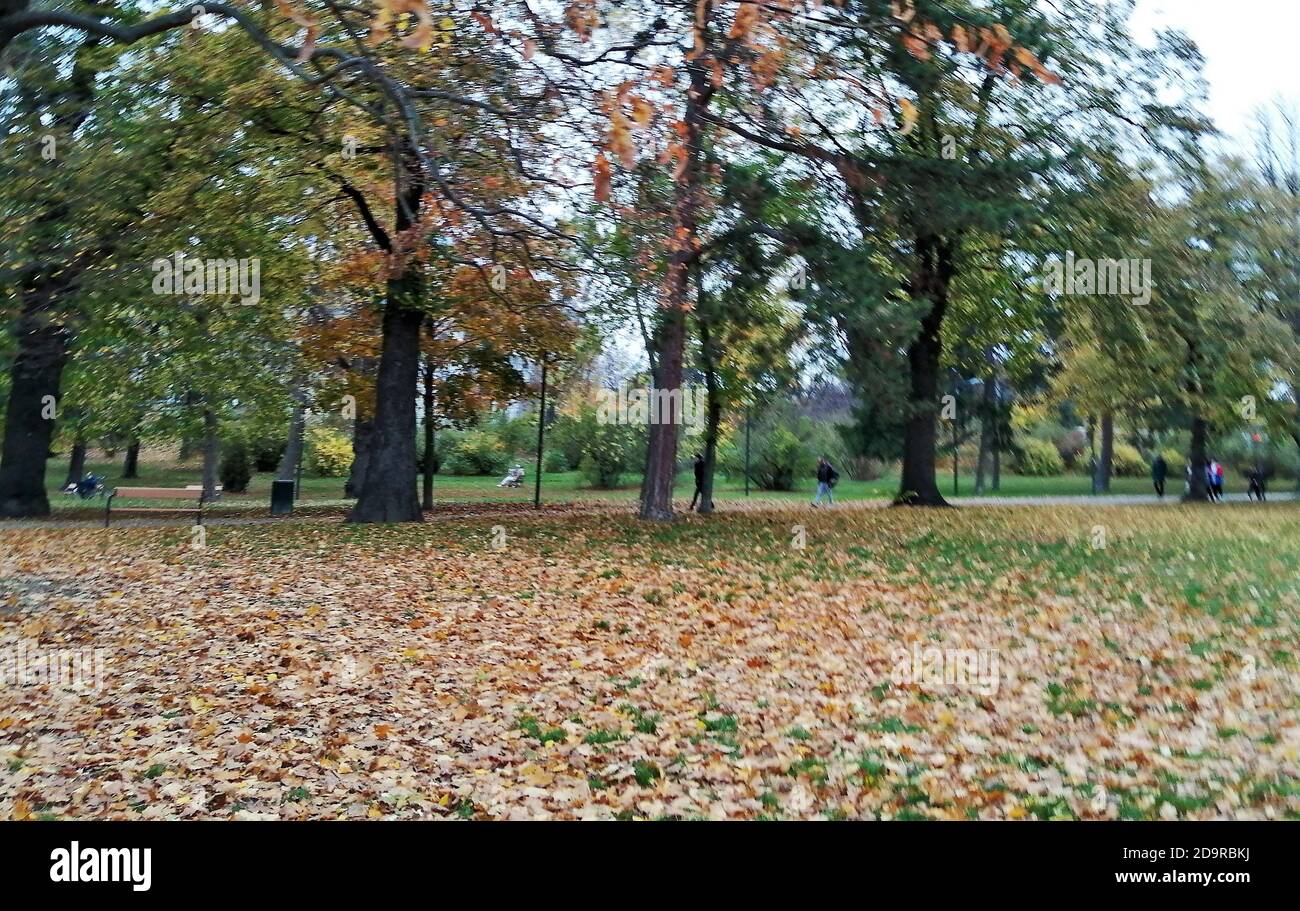 Autumn in the Forty Hall, Enfield, London. Stock Photo