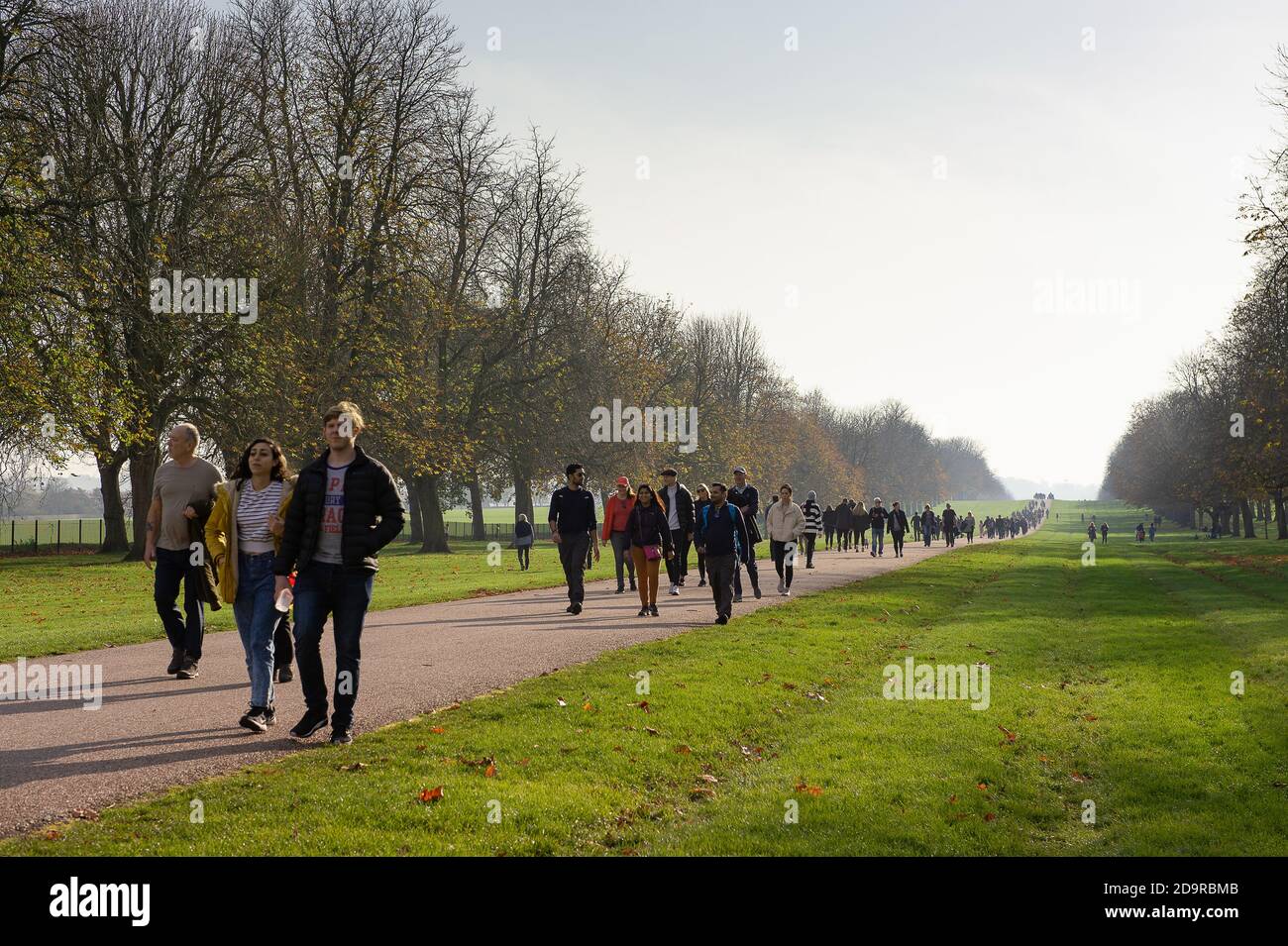 Windsor, Berkshire, UK. 7th November, 2020. Day 3 of the second Covid-19 Coronavirus lockdown in England. In what was one of the busiest days since the wedding of Prince Harry to Meghan Markle, hundreds of people were out walking on the Long Walk in Windsor today. Credit: Maureen McLean/Alamy Live News Stock Photo