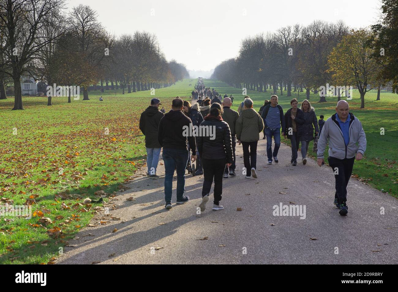 Windsor, Berkshire, UK. 7th November, 2020. Day 3 of the second Covid-19 Coronavirus lockdown in England. In what was one of the busiest days since the wedding of Prince Harry to Meghan Markle, hundreds of people were out walking on the Long Walk in Windsor today. Credit: Maureen McLean/Alamy Live News Stock Photo
