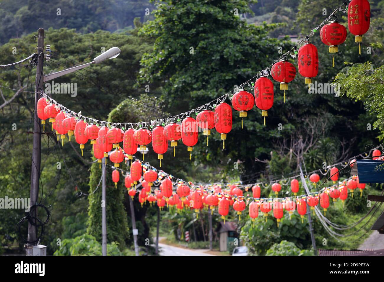 Paper lantern hanging on trees hi-res stock photography and images - Alamy