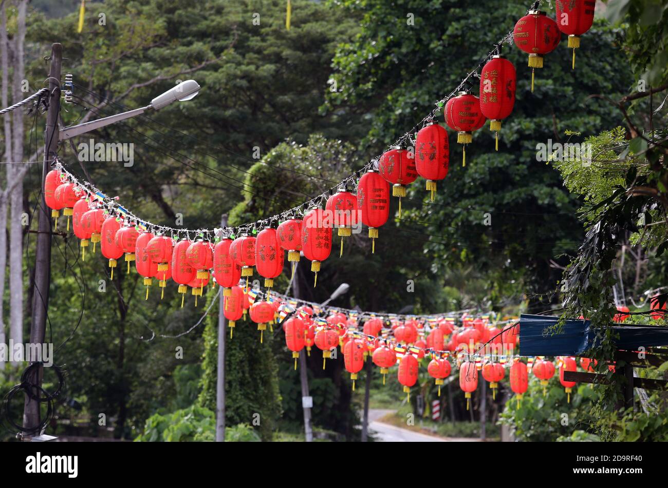 A red Chinese lantern is on a green tree in Malaysia Stock Photo - Alamy