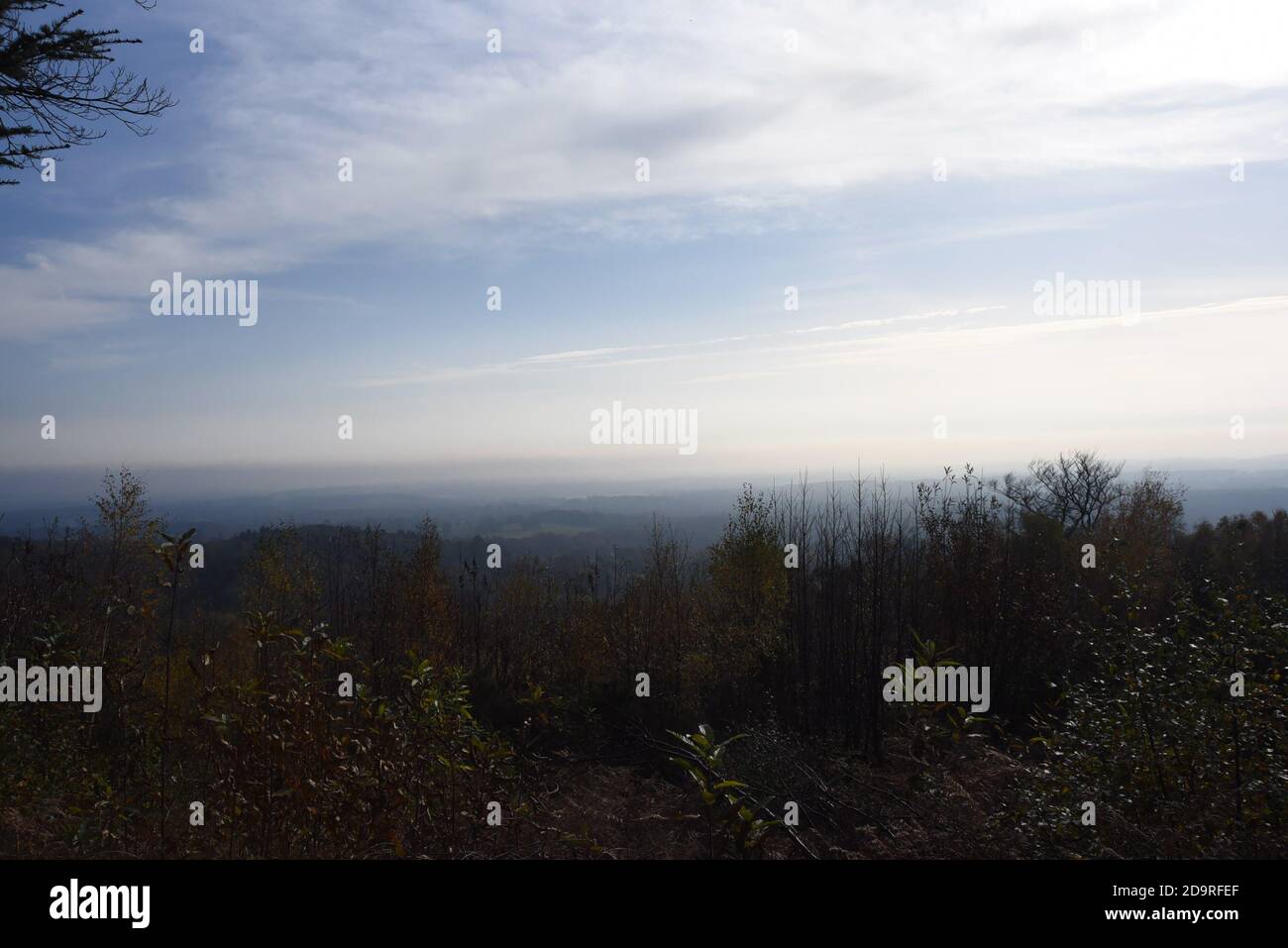 Misty View in the Surrey Hills Stock Photo - Alamy