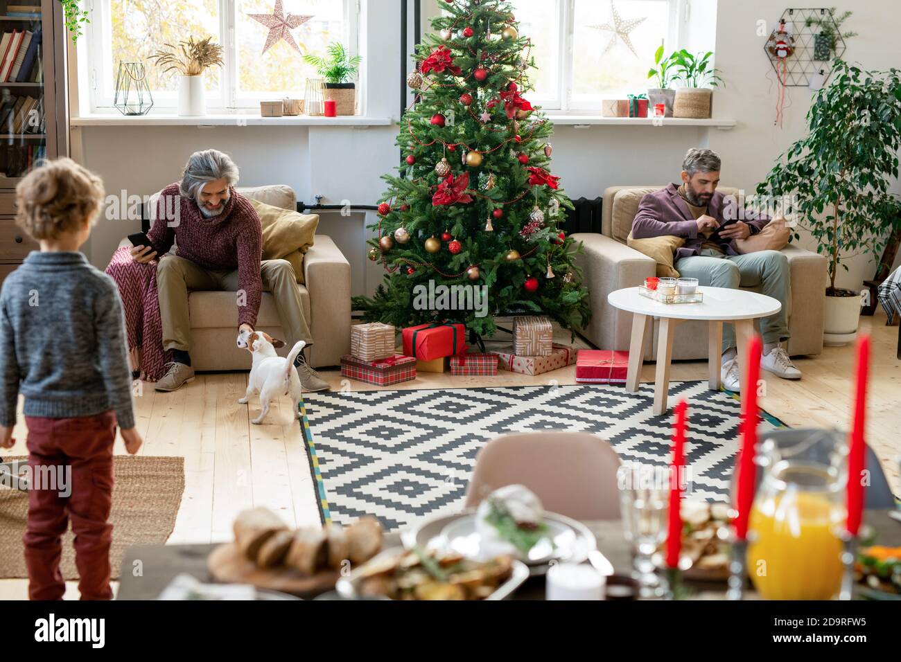 Senior man with smartphone playing with dog while his son using mobile gadget Stock Photo