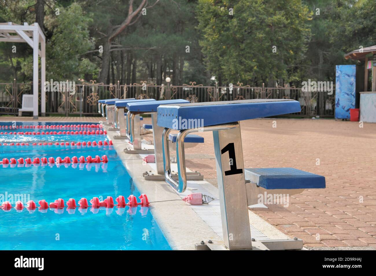 Swimming pool with starting blocks. Sport facility. Side view. Pool