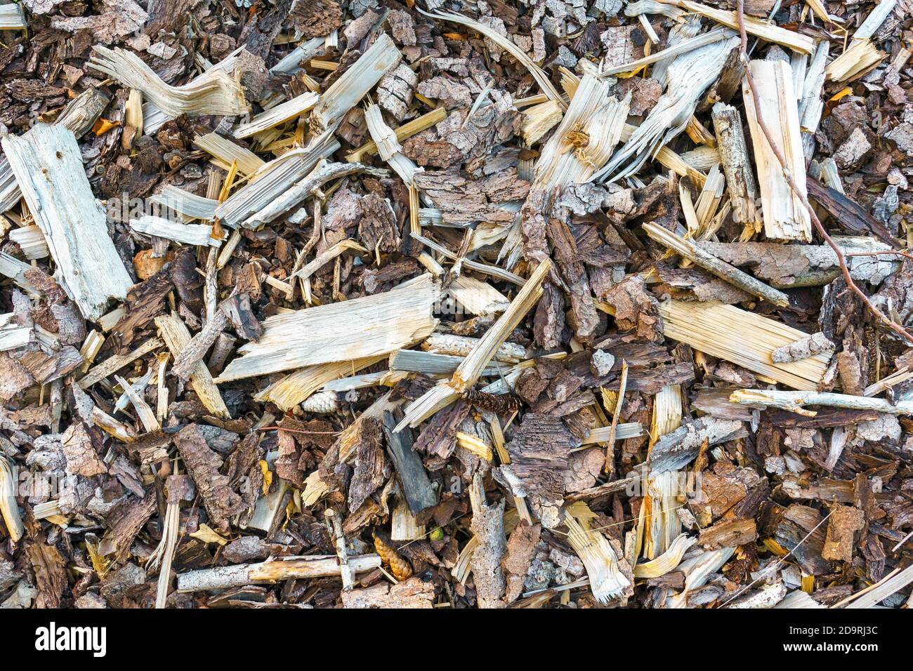 Close up of various wood chips Stock Photo