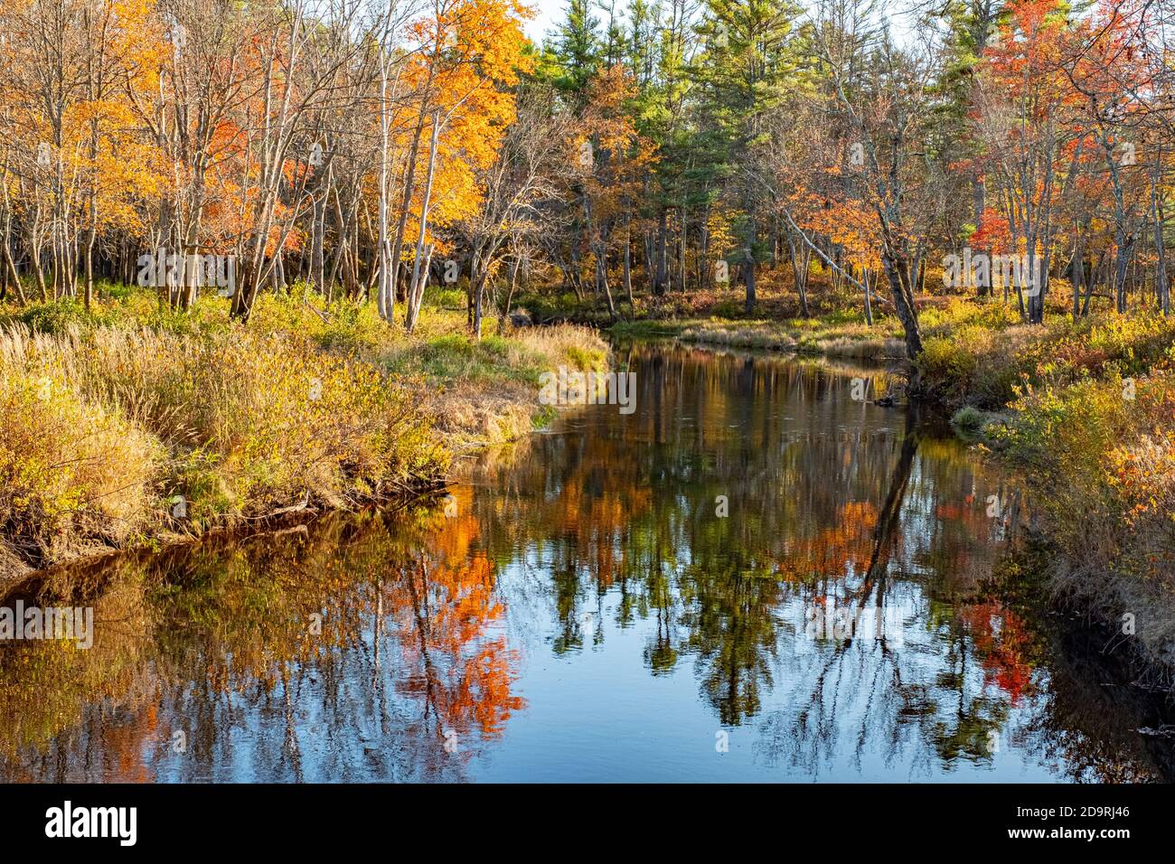 The Millers River in the Lake Dennison Recreation area in Winchendon