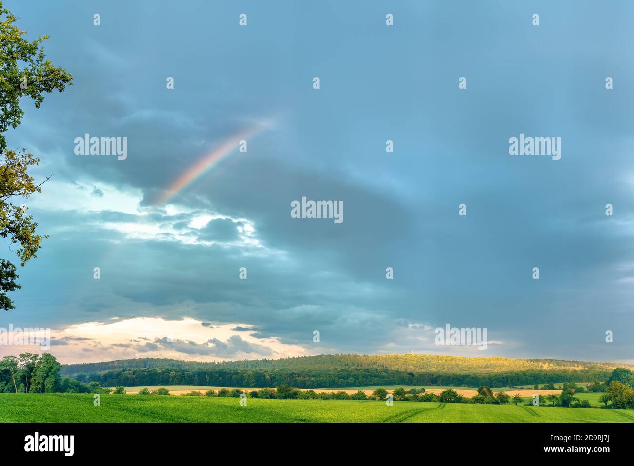 A rainbow over the green and sunny fields Stock Photo