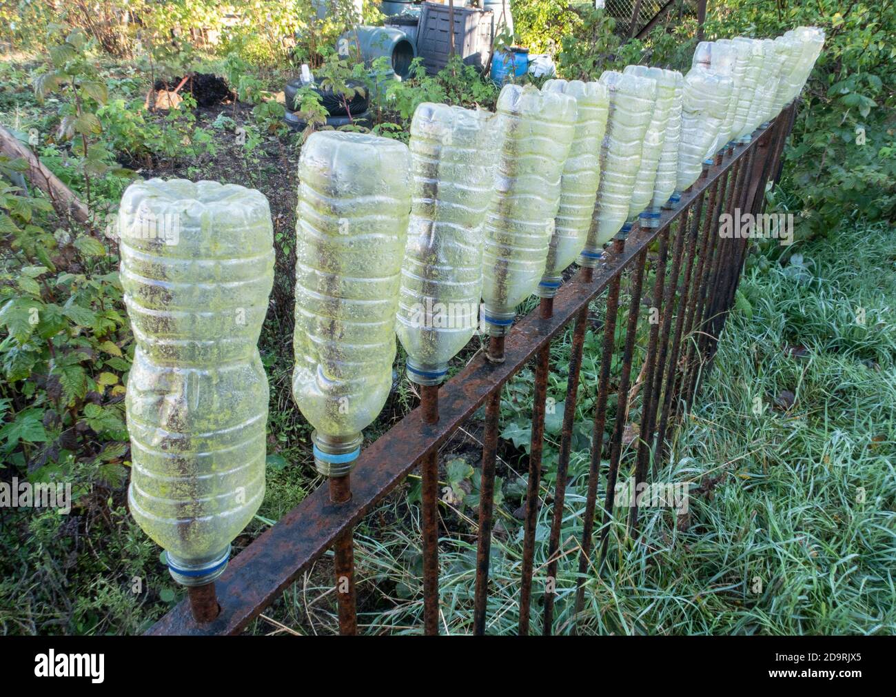 Plastic water bottles covering the spikes on railings at allotments in Sidmouth, Devon, England, UK Stock Photo