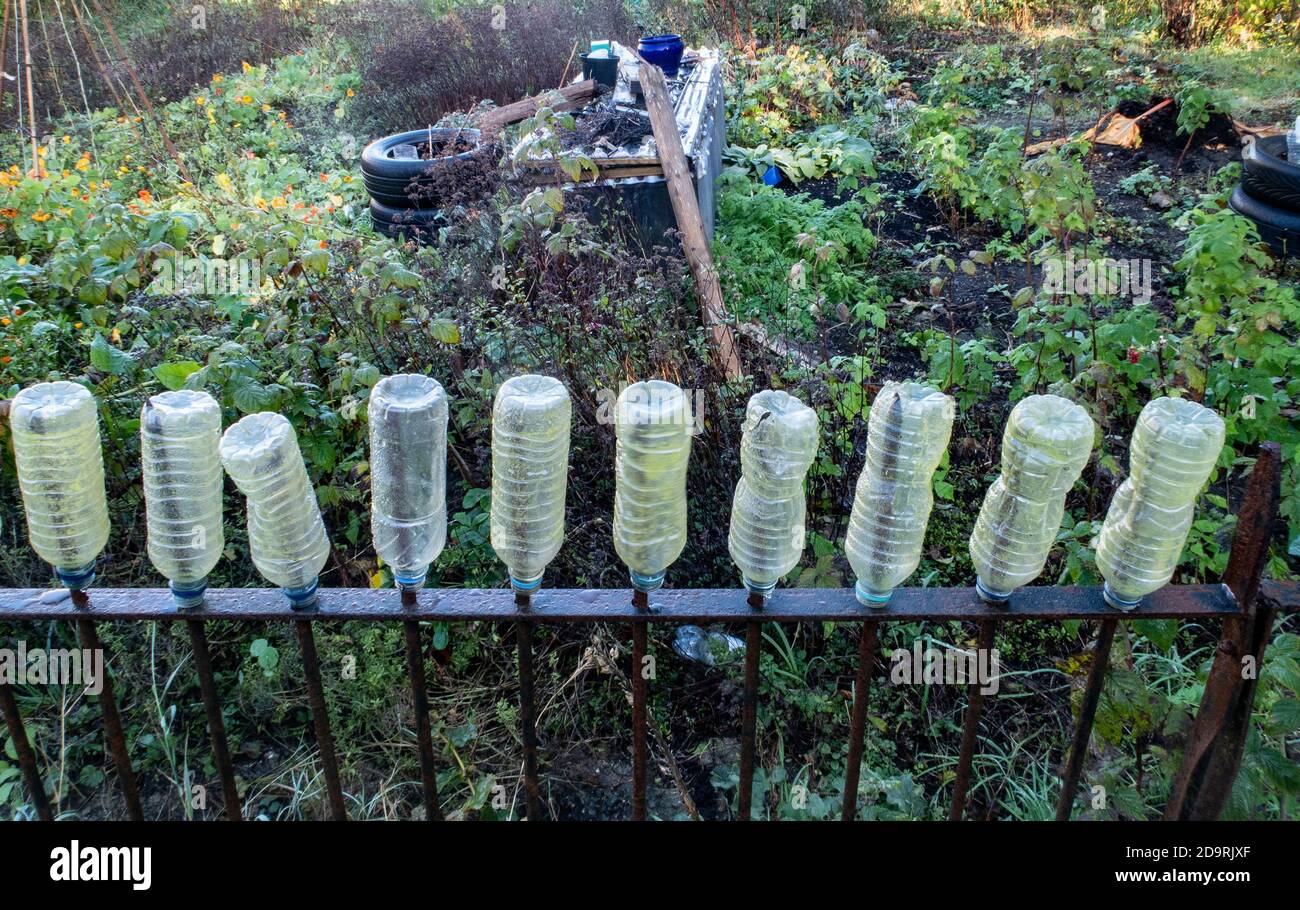Plastic water bottles covering the spikes on railings for safety at allotments in Sidmouth, Devon, England, UK Stock Photo