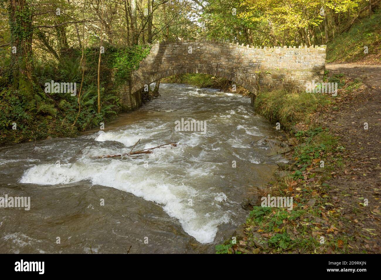 England, Devon, Heddon valley, river & bridge Stock Photo