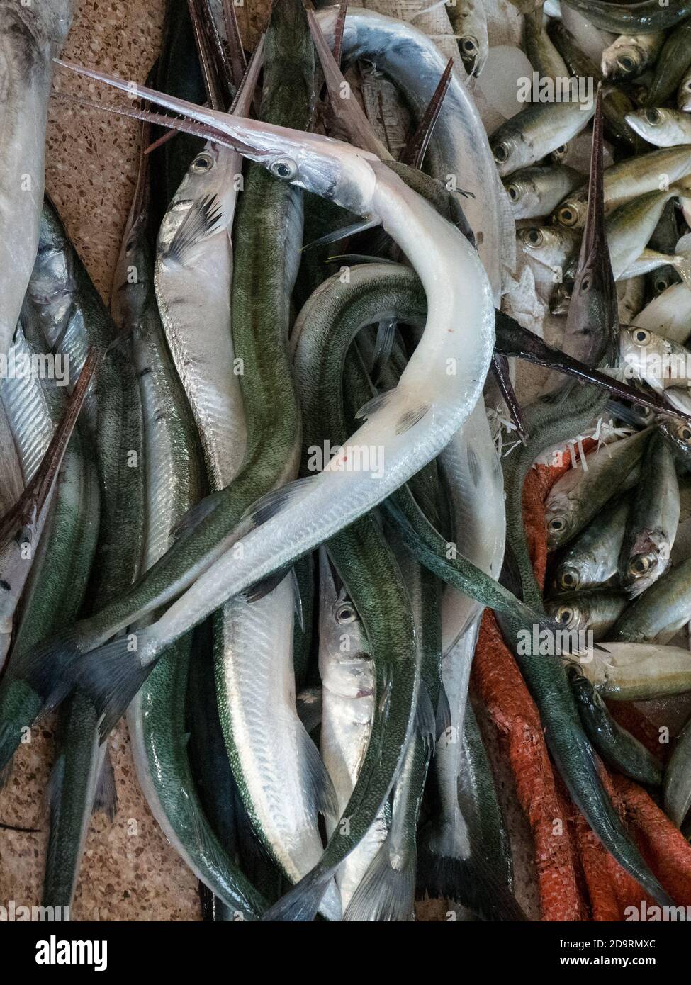 Wet fish for sale at the traditional Barka Fishmarket on the Batinah Coast, West of Muscat, Oman Stock Photo