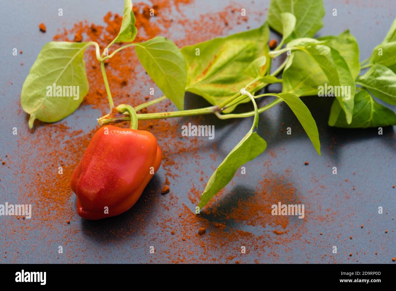 red Hungary Paprika sweet or spicy Stock Photo Alamy