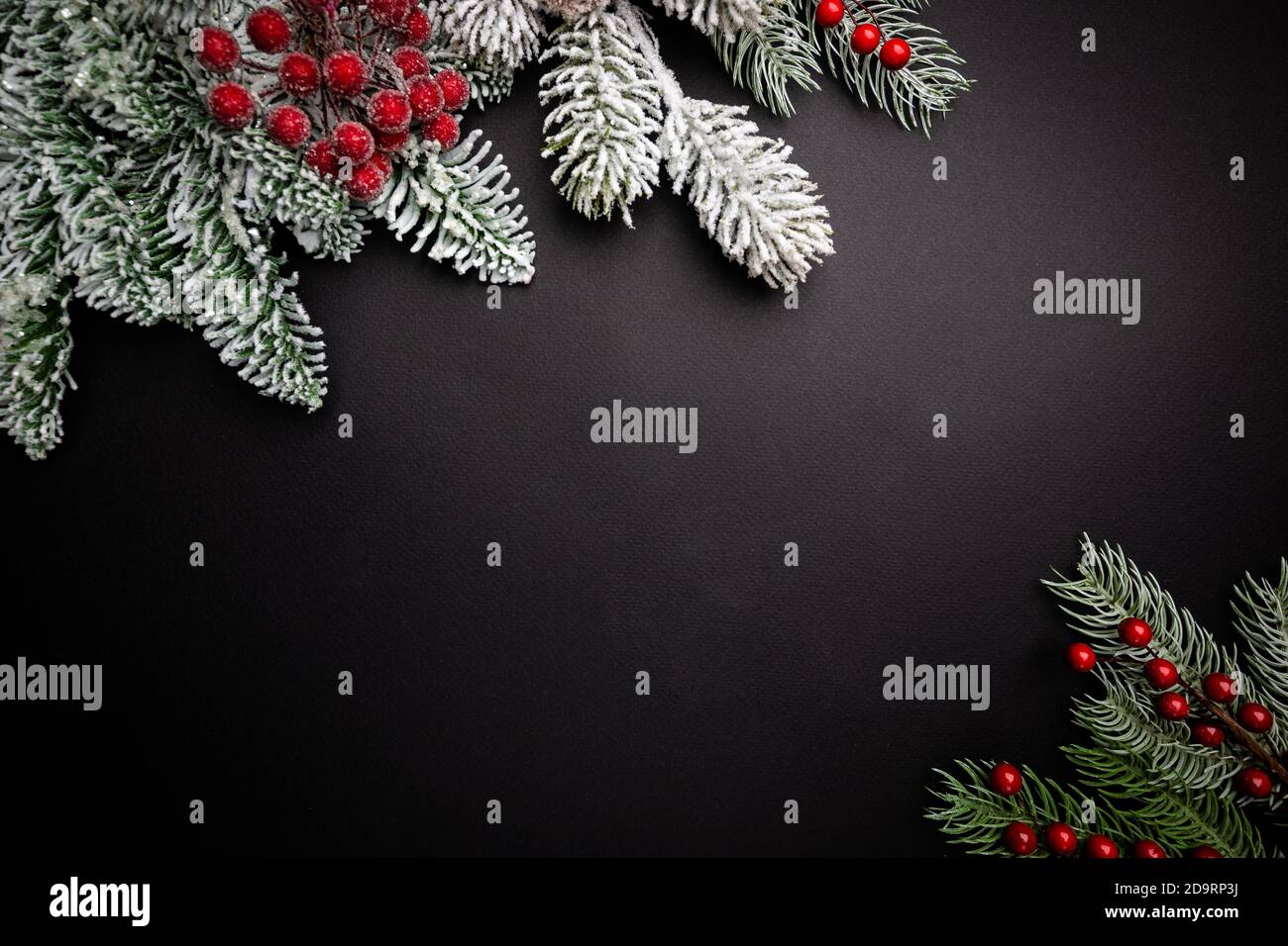 Christmas holidays composition with snowed fir tree branches on black ...