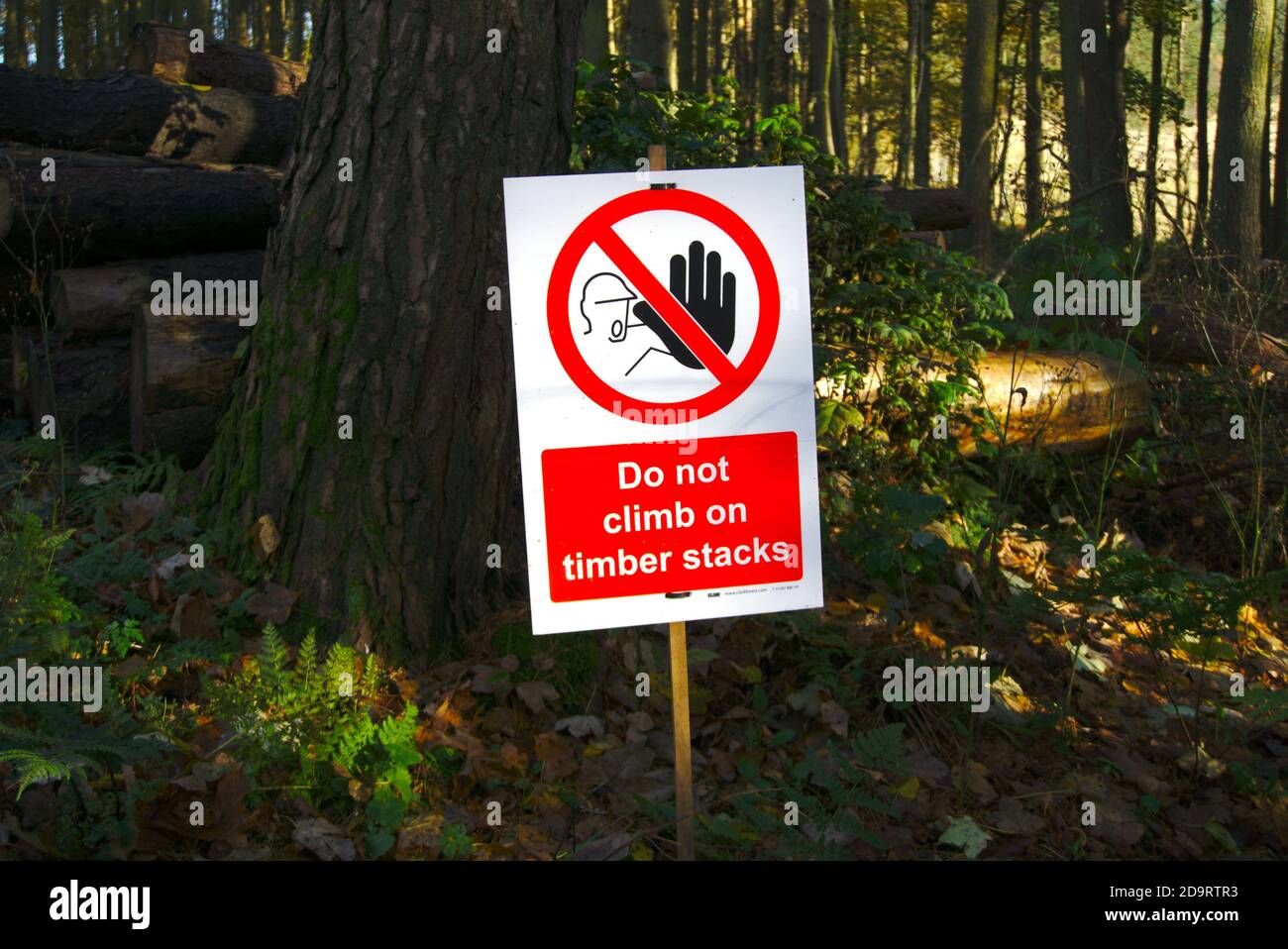 Do not climb on timber stacks warning sign supplied by Clark Forest and erected in woodland at Peniel Heugh, Roxburghshire, Scottish Borders, UK. Stock Photo