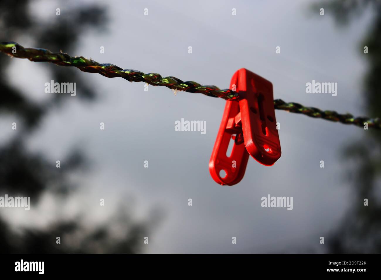 isolated plastic red color clothes clip on a rope Stock Photo