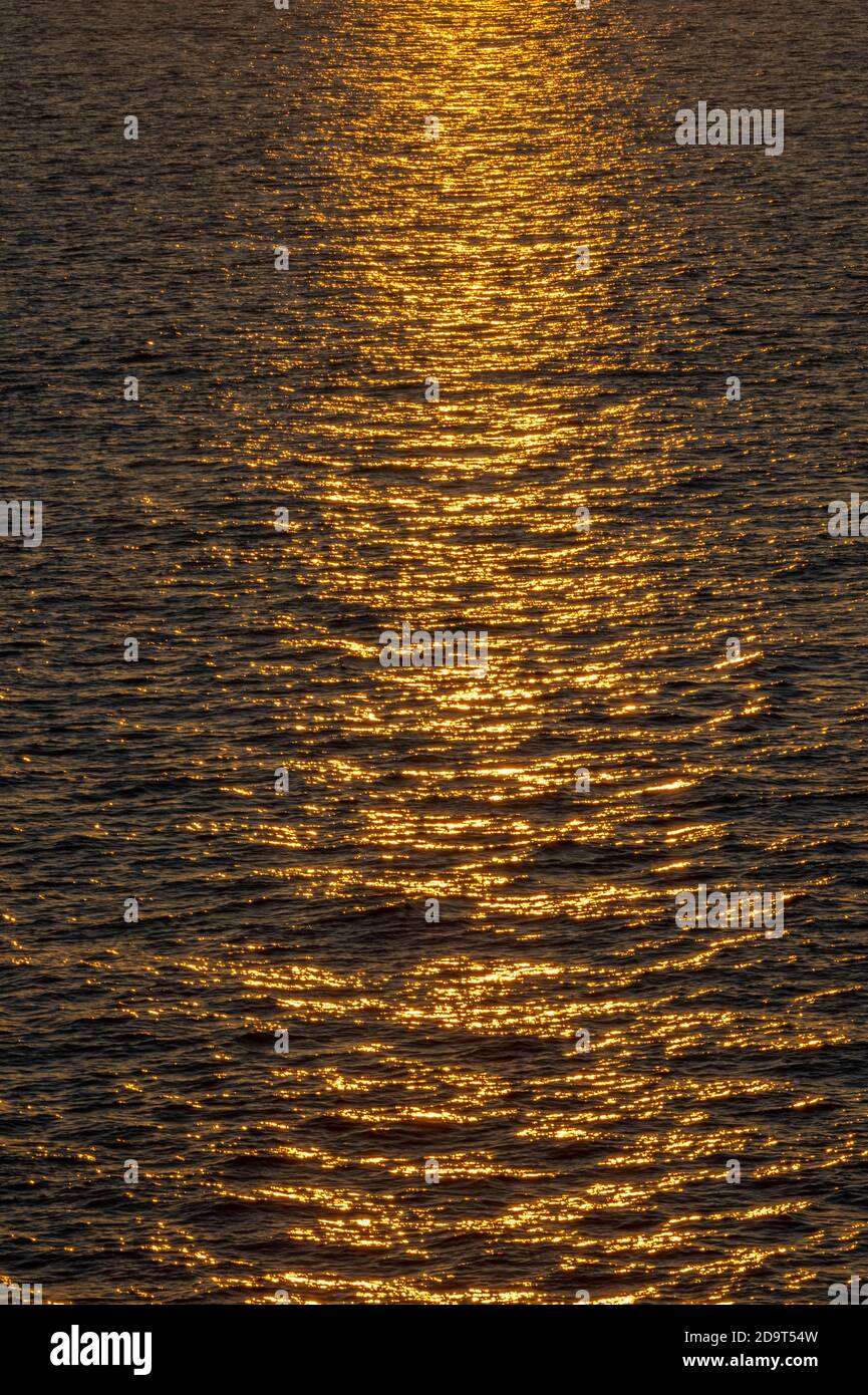 golden evening sunlight reflected off of the surface of the water at ...