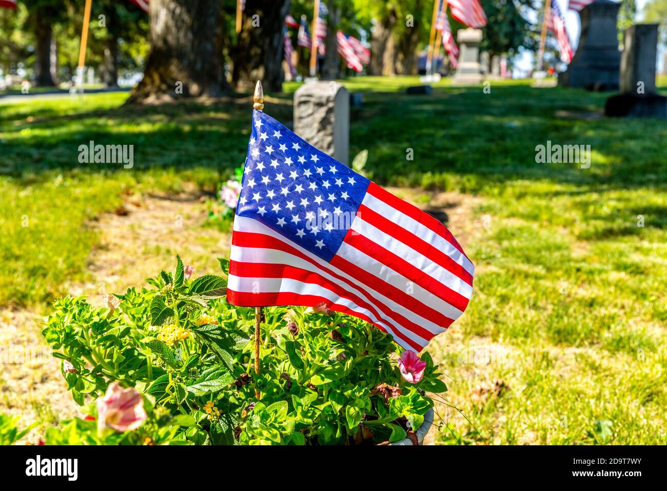 American Flags on Cemetery Stock Photo Alamy