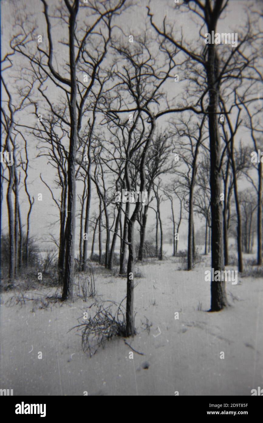 Fine 1970s vintage black and white photography Stock Photo - Alamy