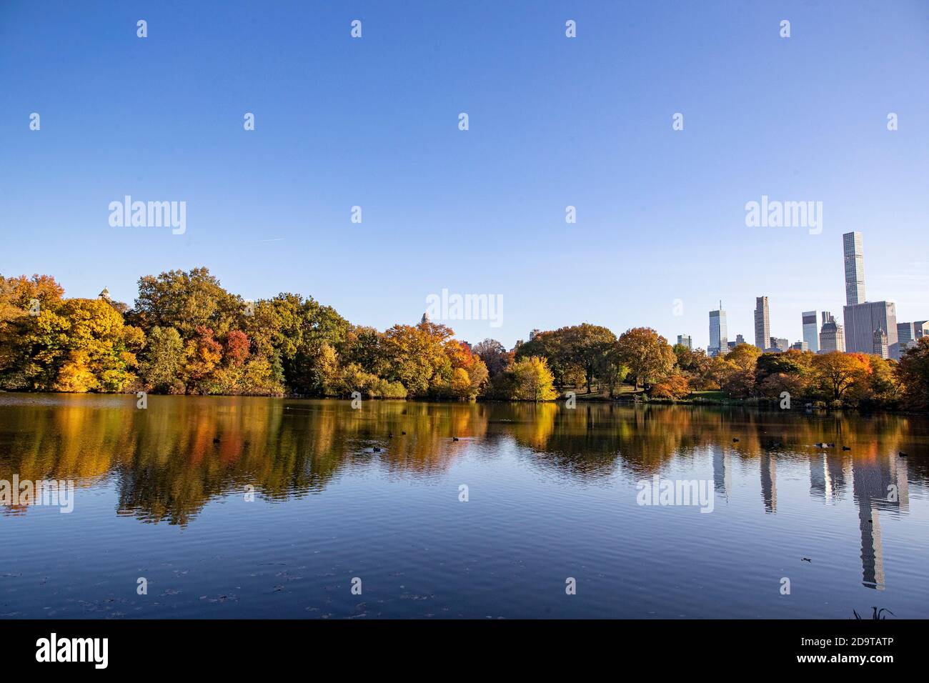 Trees and buildings reflect off the Lake in Central Park Stock Photo